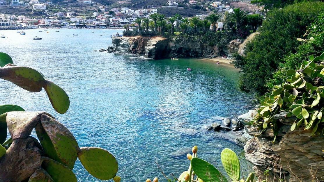 Bloom Villa By The Sea (Adults Only) Agia Pelagia  Exterior photo